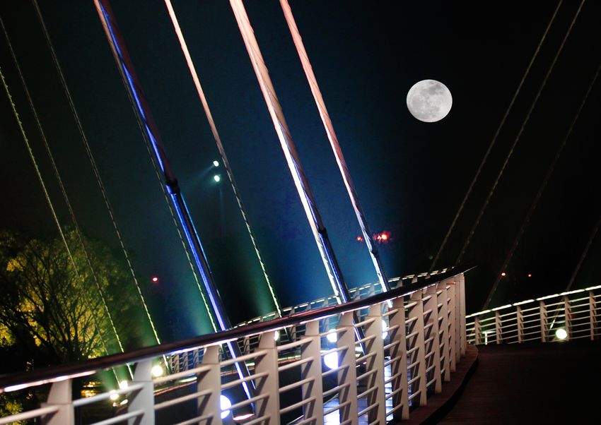 无锡映月湖公园